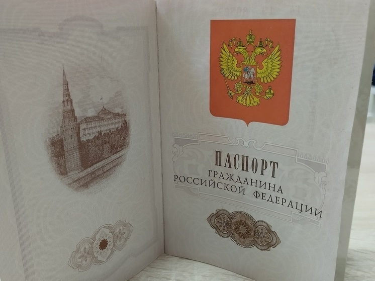 Молодогвардейцы помогут жителям отдаленных районов ЛНР оформить российские паспорта