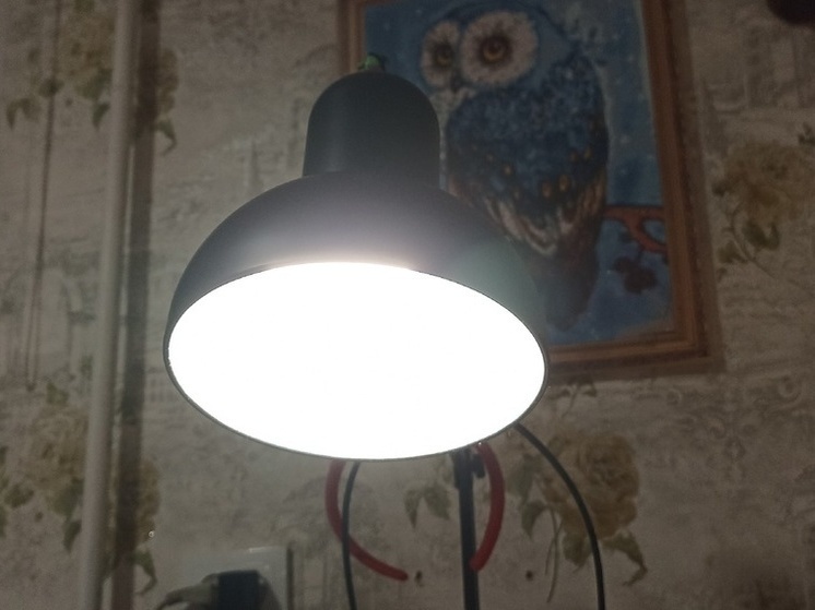 Правительство ДНР опровергло информацию о начислении пени за неоплаченную в срок электроэнергию