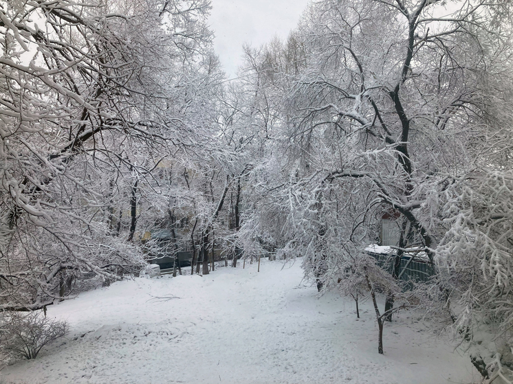 Метеорологи рассказали о погоде в Хабаровском крае на 19 ноября