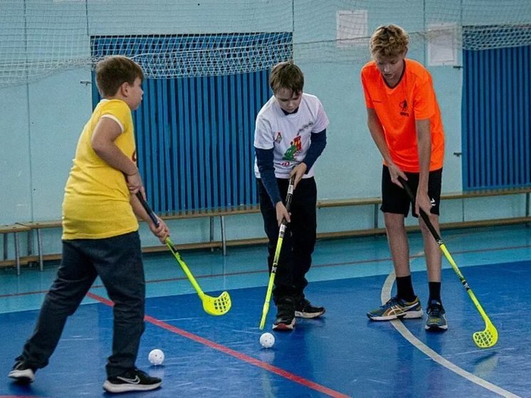 В Новомосковске две школы получили оборудование для игры в флорбол