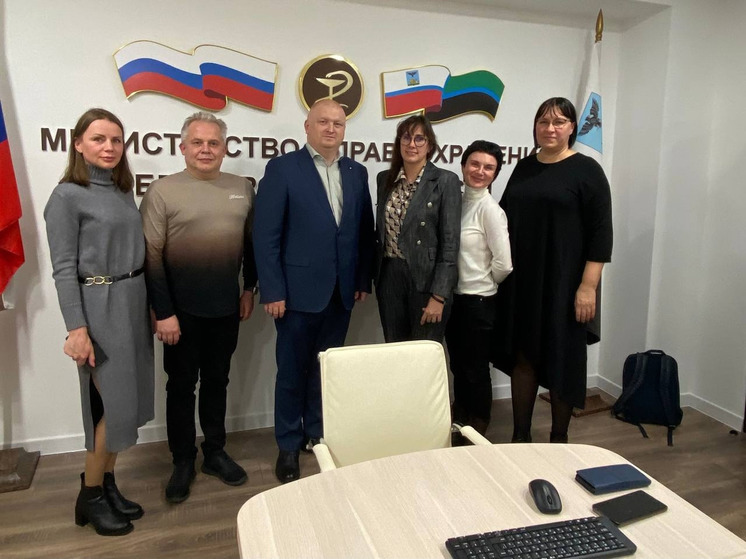 Минздрав Кольского Заполярья обменялся опытом с коллегами из Белгородской области
