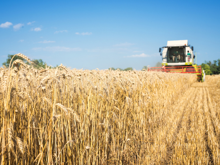 Дагестан наращивает экспорт зерна