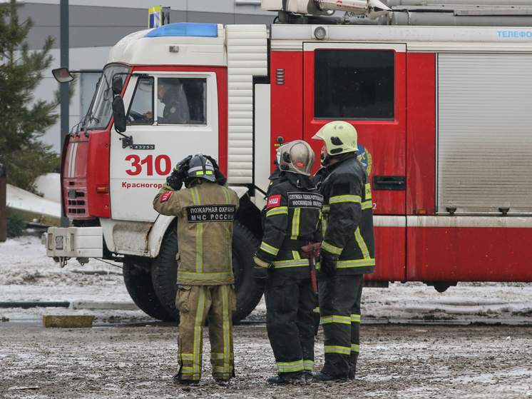 Police are checking information about the arson of an apartment in the north of Moscow