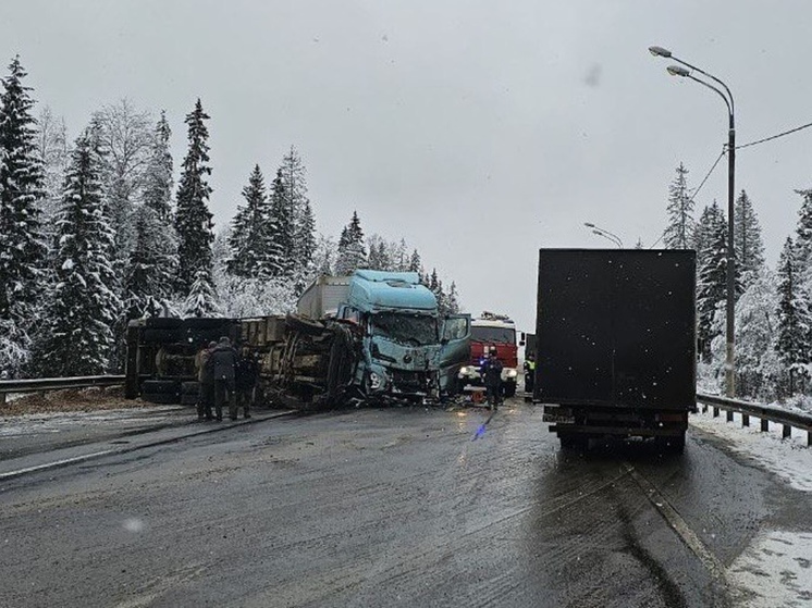 Один человек погиб при столкновении грузовиков на М-10 в Валдайском районе