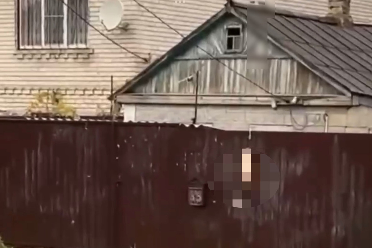 В Крымске местный житель убил кота и повесил его на заборе возле дома