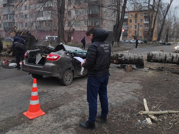 «Поваленные деревья, сотни обесточенных квартир»: на Сибирь обрушился разрушительный ураган0