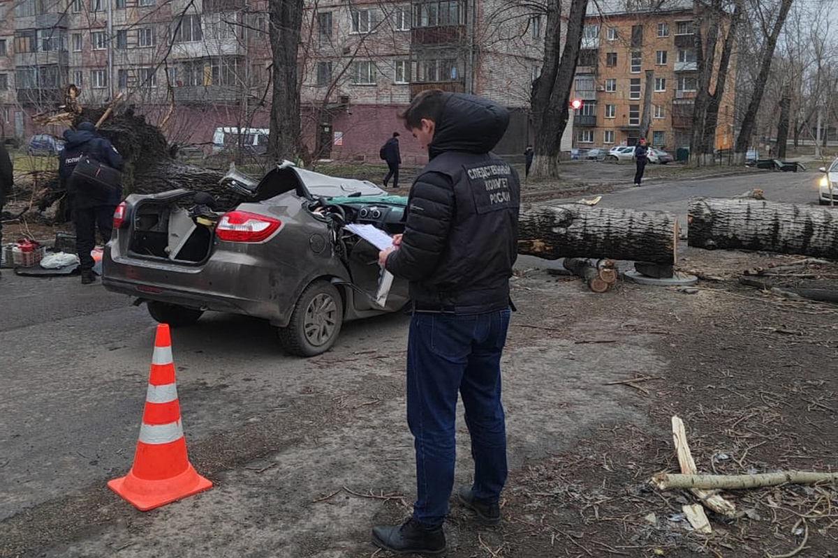 «Поваленные деревья, сотни обесточенных квартир»: на Сибирь обрушился  разрушительный ураган - МК