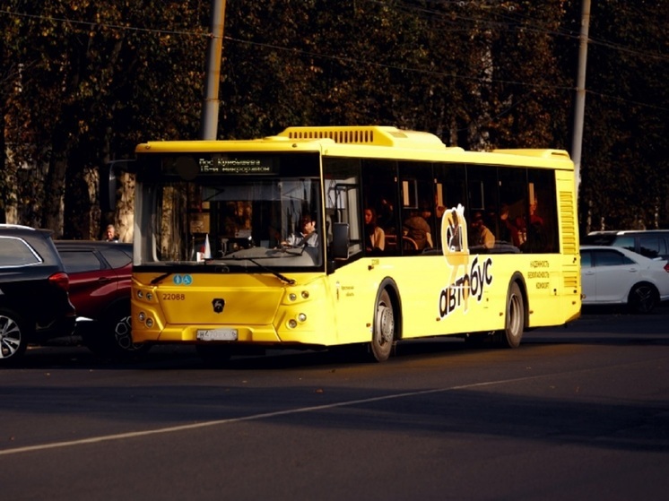 Ярославцы вновь подняли в соцсетях тему оплаты в общественном транспорте