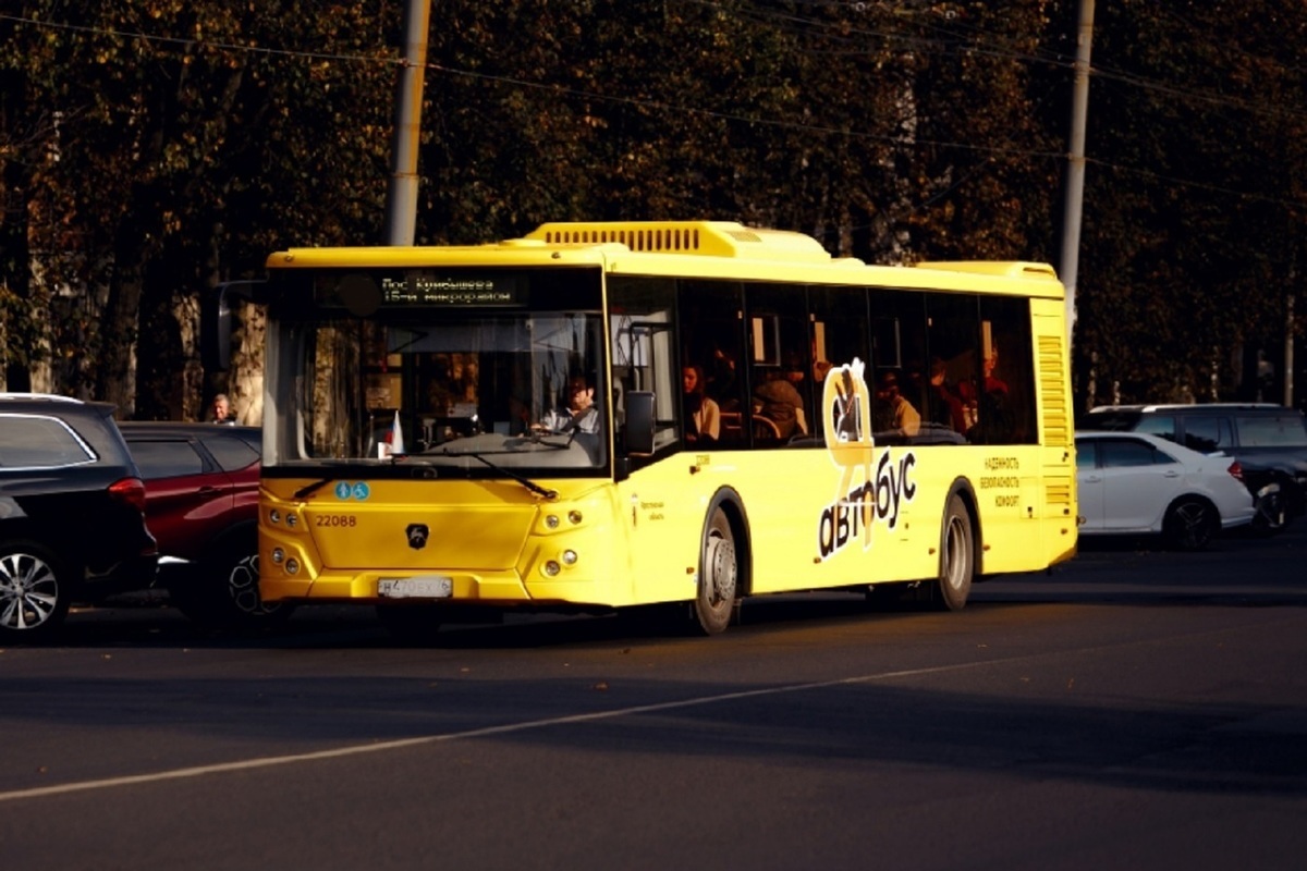 Ярославцы вновь подняли в соцсетях тему оплаты в общественном транспорте