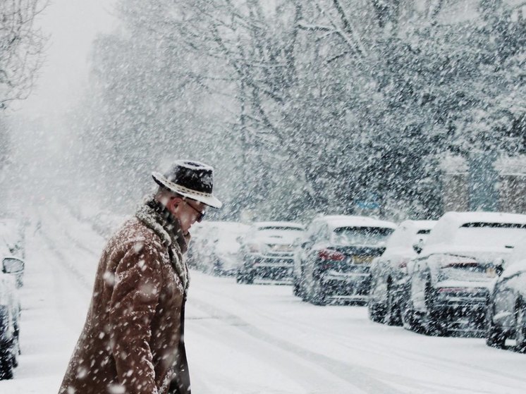 В понедельник в Воронежской области синоптики пообещали сильный снег и метель