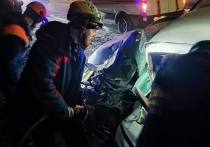 Пострадавших в аварии с Toyota Surf и Toyota Probox из помятых автомобилей вытаскивали спасатели. Об этом 20 ноября сообщается в телеграм-канале департамента ГО и ПБ Забайкальского края.