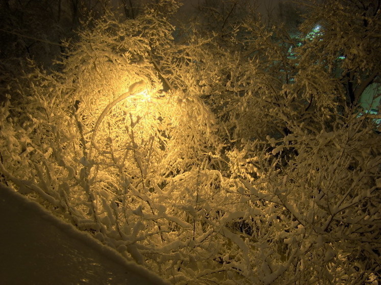 Климатолог Кислов предупредил о хорошем снегопаде в Москве