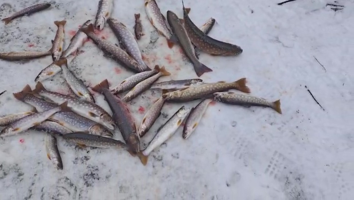 Зимняя рыбалка на Сахалине на первом льду: фотографии уловов
