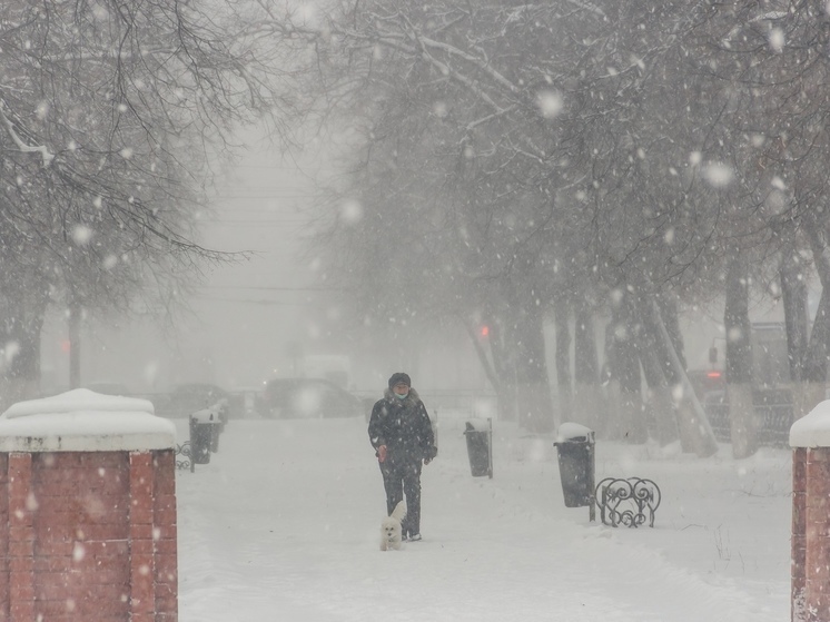 В Рязанской области выпустили метеопредупреждение из-за метели и снегопада