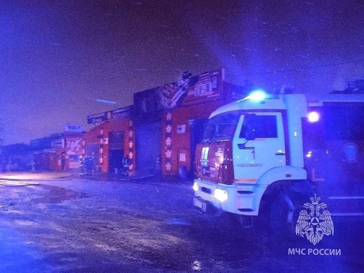 В Новосибирске ночью вспыхнул автомобиль в автосервисе на Петухова