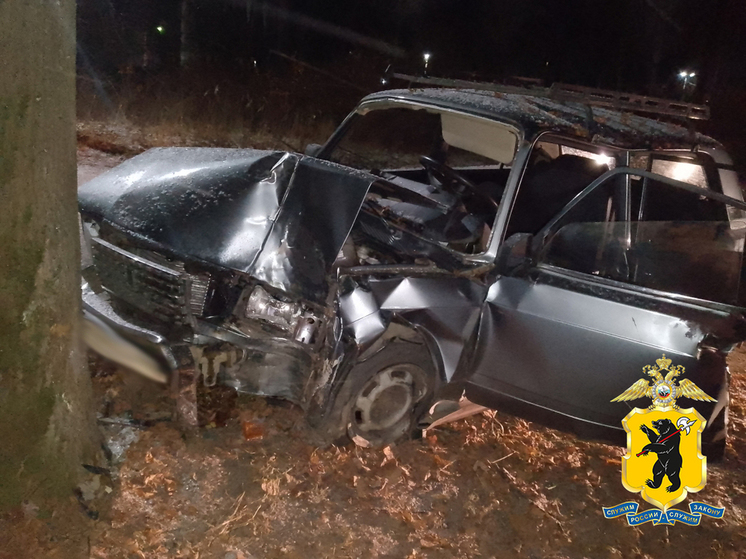 Ярославский водитель, врезавшийся в дерево, покалечил двух молодых пассажиров