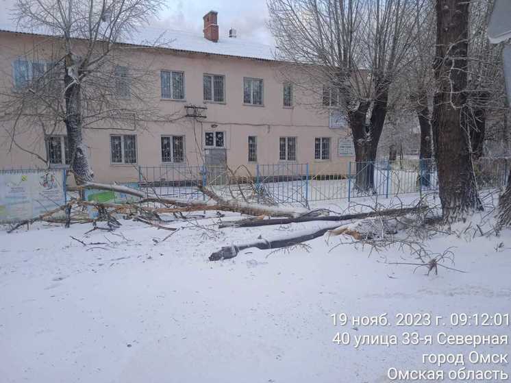 Мэр Омска Сергей Шелест рассказал о последствиях непогоды в городе