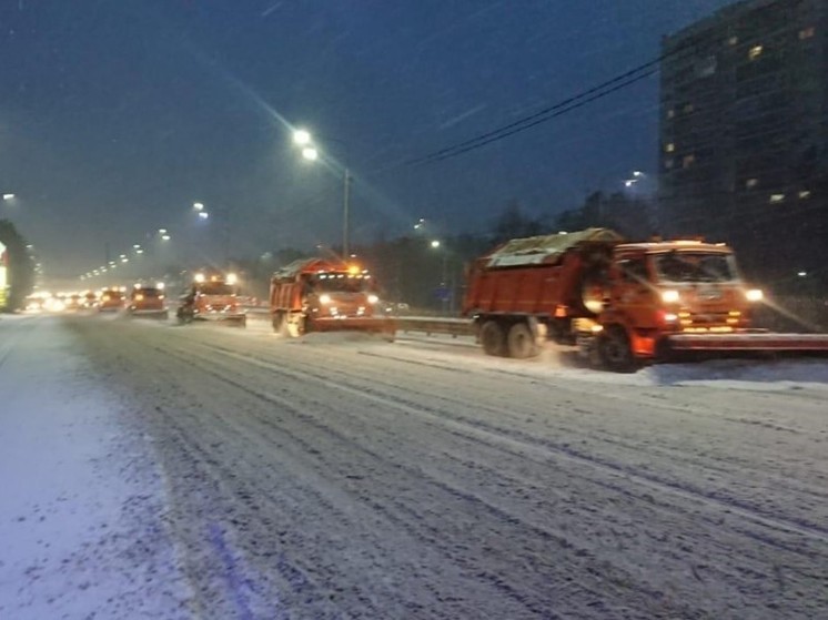 В Воронеже всю ночь ликвидировали последствия залпового снегопада
