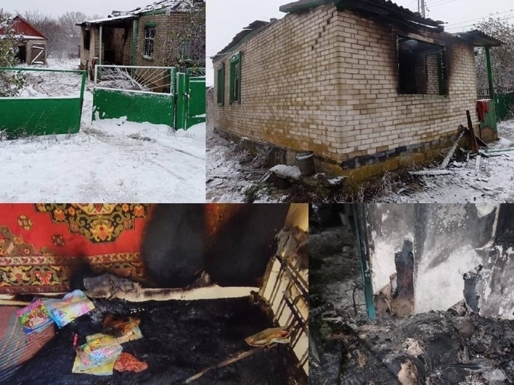 При пожарах в Ростовской области погибли два человека
