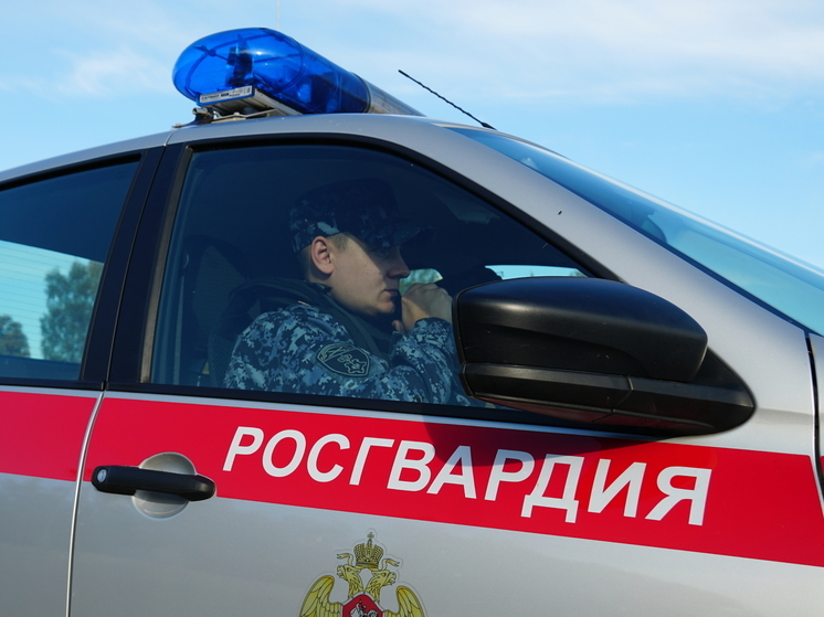 Спиртные напитки украл пскович из магазина на улице Красноармейской