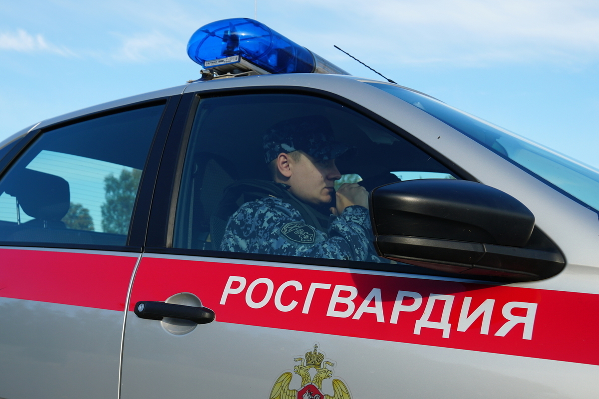 Спиртные напитки украл пскович из магазина на улице Красноармейской