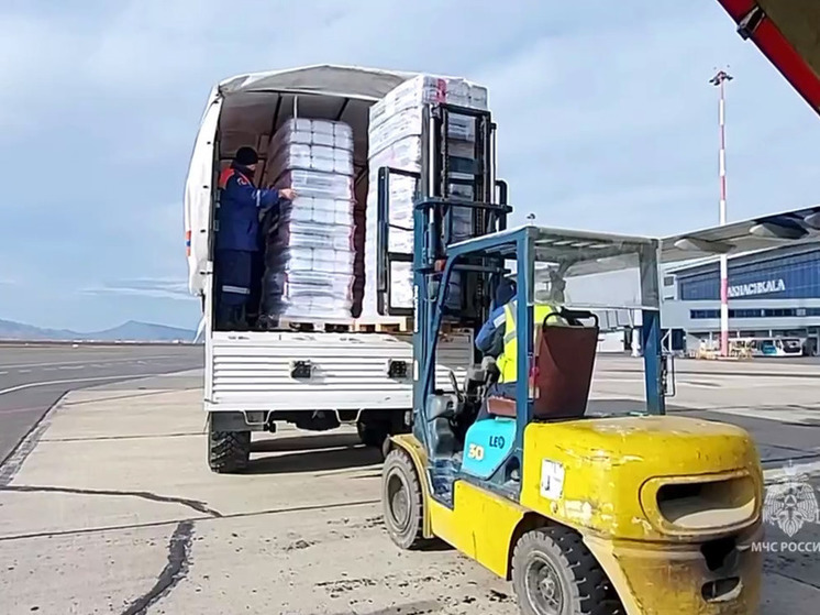 МЧС России доставило для жителей Газы 27 тонн гумпомощи