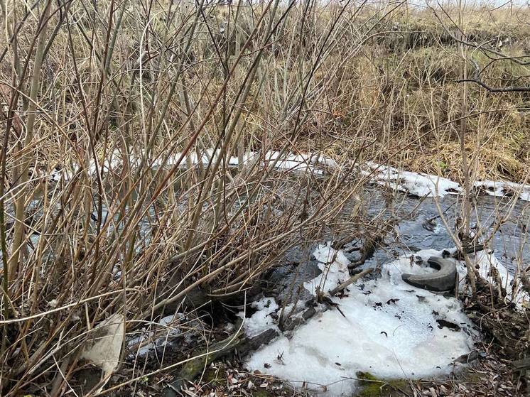 Знакомые 11-летнего российского школьника отказались верить, что он убил приятеля