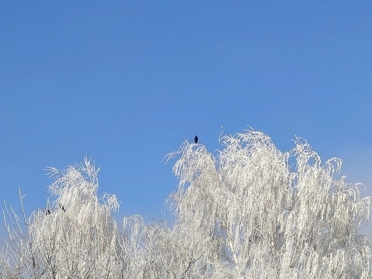 Белгородцев предупредили о похолодании до -9˚ ночью 21 ноября