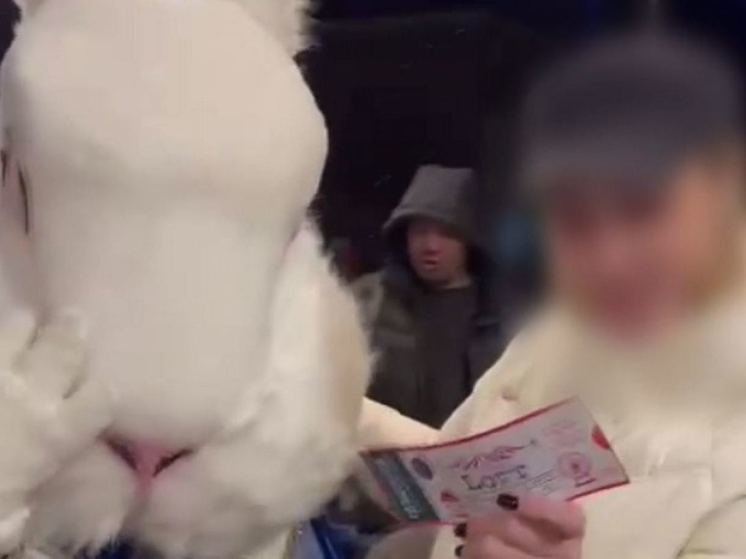 Кролик из «Алисы в стране чудес» избил пьяного мужчину в центре Красноярска