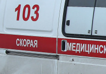 В одну из больниц Северной столицы обратилась 31-летняя петербурженка, которая рассказала, что своей трехмесячной дочери закапала в нос неуточненное количество капель от насморка