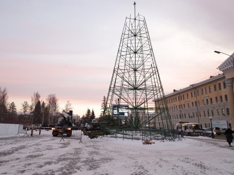 Главную елку города начали собирать на Новособорной площади в Томске