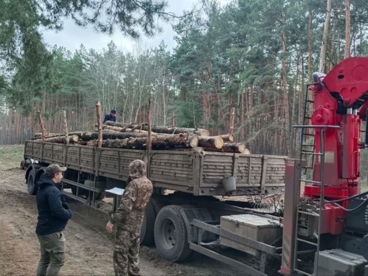 Белгородским бойцам передали бревна и доски для устройства блиндажей