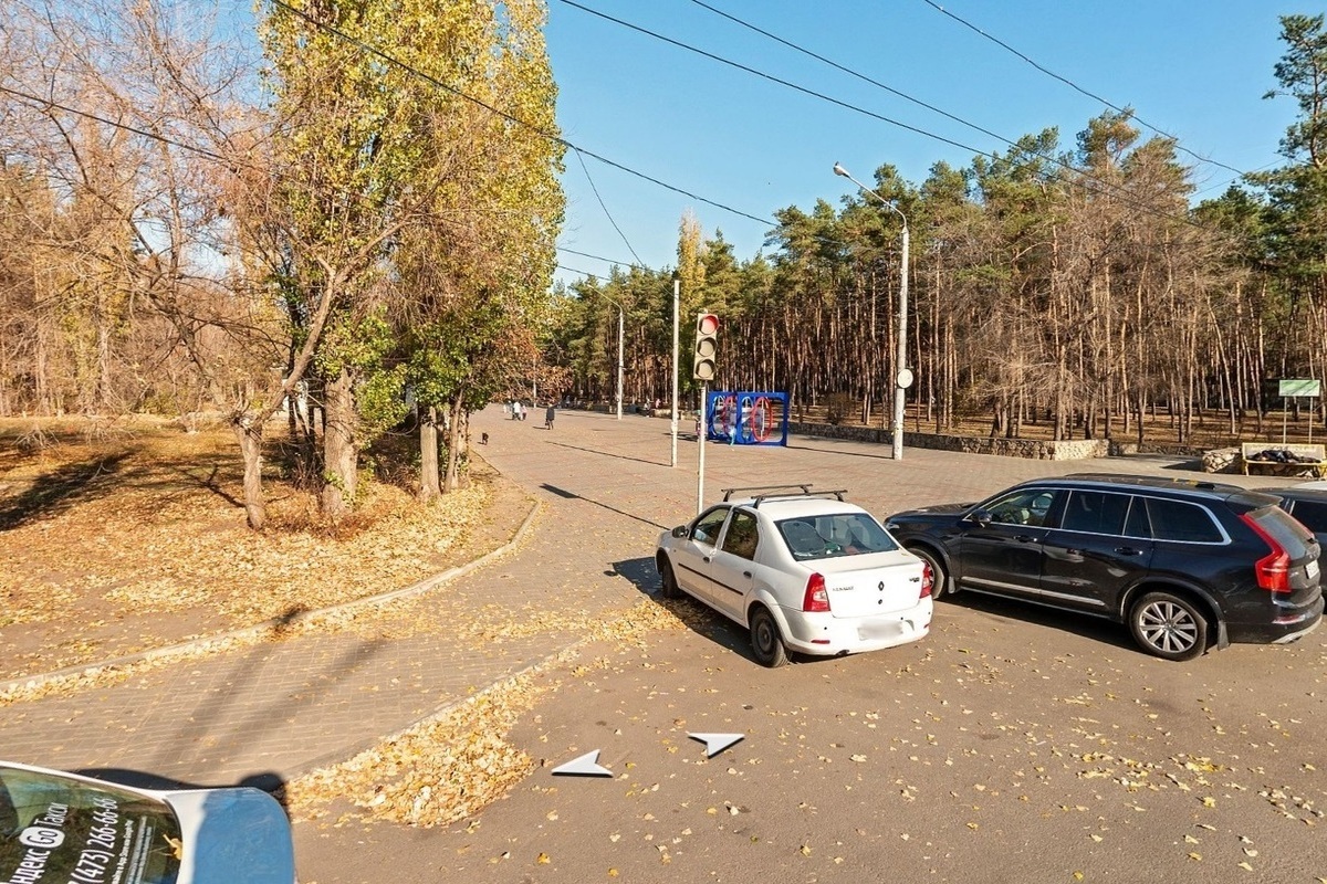 В Воронеже в парке «Танаис» появится романтический квартал и зона барбекю