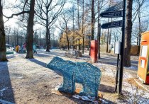 В ходе рабочего совещания губернатор Московской области обсудил с областным правительством подготовку парков к зиме