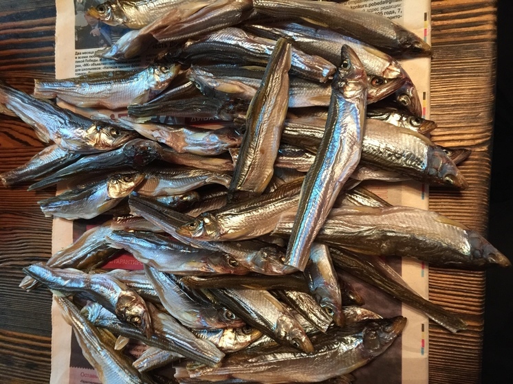 На Камчатке рыбное предприятие обокрали на миллион