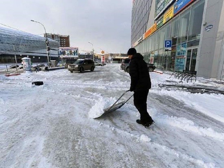 В Новосибирске обещают резкую смену погоды и морозы до -30 зимой-2024