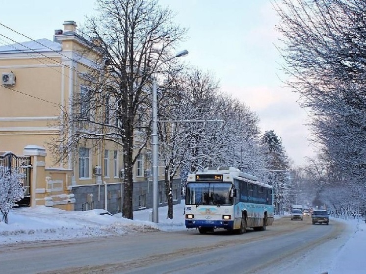Еще более 200 автобусов поступят в муниципалитеты