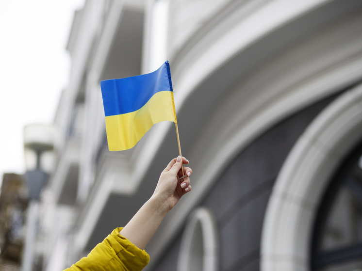 Депутат ЛНР Поляков: народ Украины не получил власть после Евромайдана