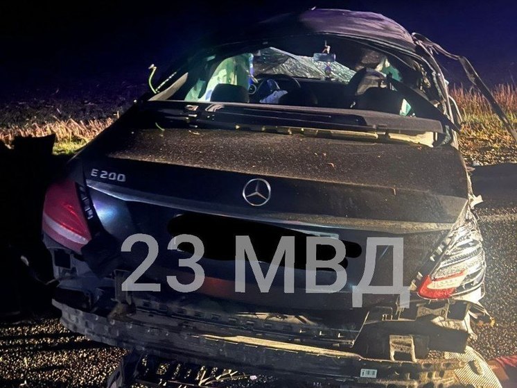 В Мостовском районе при столкновении машин с коровой погибло 2 человека