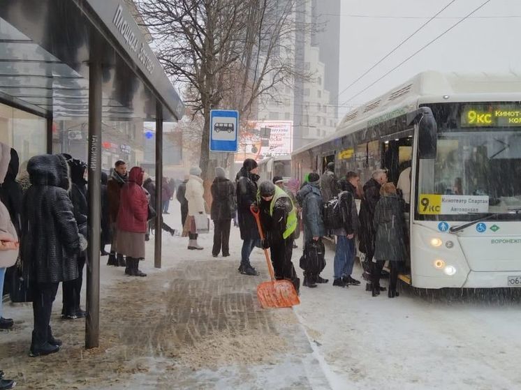 В управлении транспорта объяснили причину маршруточного коллапса в Воронеже