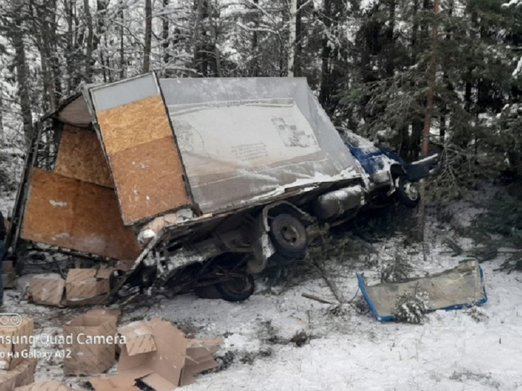 В Тверской области в результате ДТП с грузовиком два человека попали в больницу