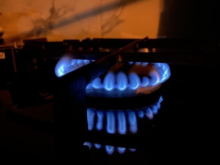 Жители шести домов Тулы останутся 21 ноября без газа из-за технических работ