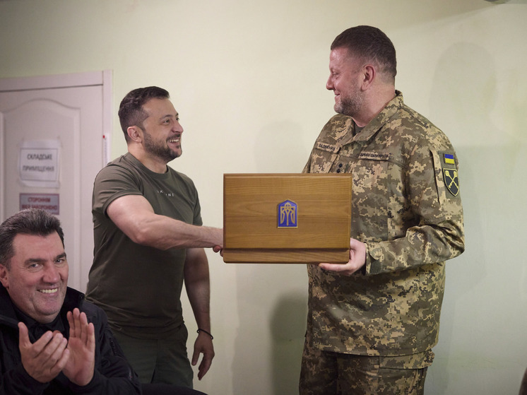 Дипломат Мирошник: Запад уговаривает Зеленского не разжигать конфликт с Залужным