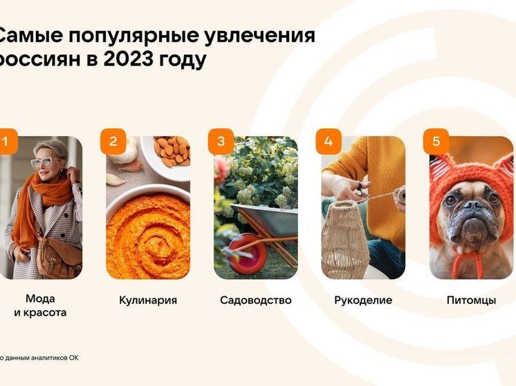 «Одноклассники» назвали самые популярные увлечения россиян в 2023 году