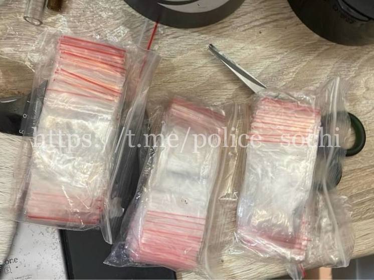 У подозреваемого наркозакладчика в Сочи полицейские изъяли 40 граммов гашиша