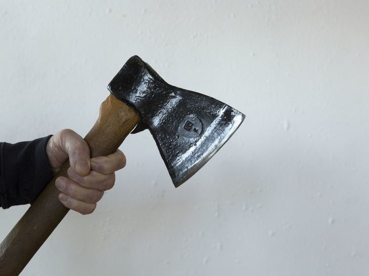 Польский перевозчик напал на украинских с топором