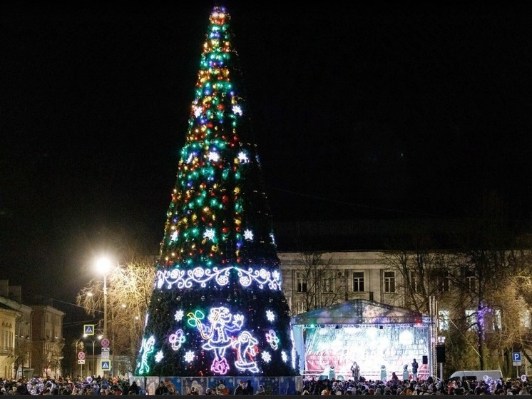 Главную ель начнут устанавливать в Пскове 2 декабря