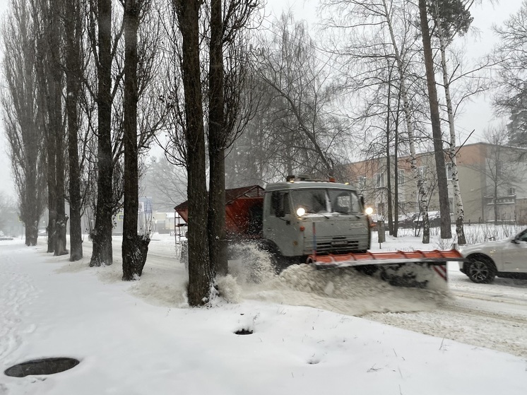 Глава Пензы попросил пензенцев выбирать общественный транспорт во время снегопадов