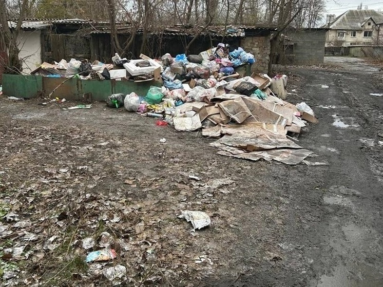 Жители Гуково пожаловались на огромную свалку возле школы
