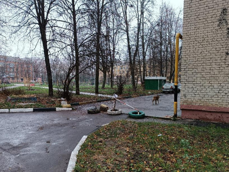 В Тамбове обнаружили очередной нелегальный блокиратор проезда